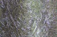 Pottington fibreglass roof work